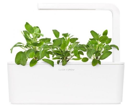 Click & Grow Smart Garden uzpilde Salvija 3gb.