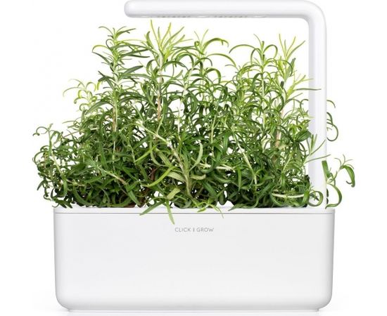 Click & Grow Smart Garden refill Rosemary 3pcs