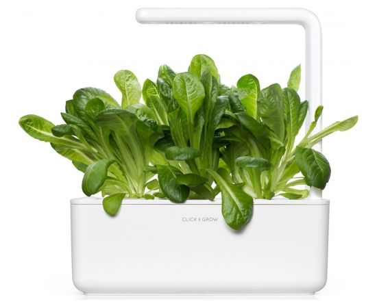 Click & Grow Smart Garden refill Салат 3 шт