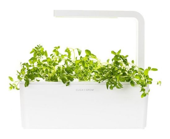 Click & Grow Smart Garden refill Орегано 3 шт