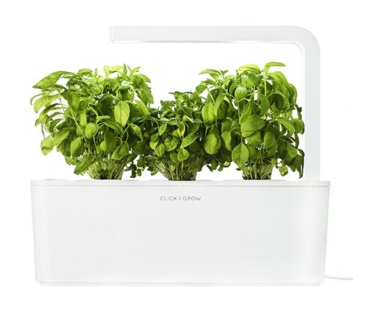 Click & Grow Smart Garden refill Карликовый базилик 3 штуки