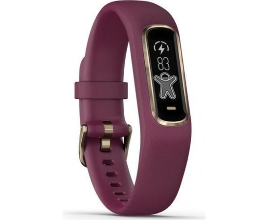 Garmin aktivitātes trekeris Vivosmart 4 S/M, violets/gaiši zeltīts