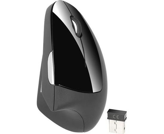 Mouse TRACER Flipper RF nano USB Ergonomic