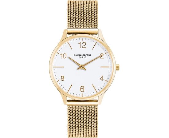 Pierre Cardin PC902722F118
