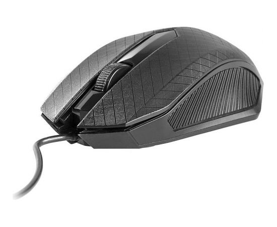 Mouse  TRACER Click USB DPI 1000 kabel 2m.