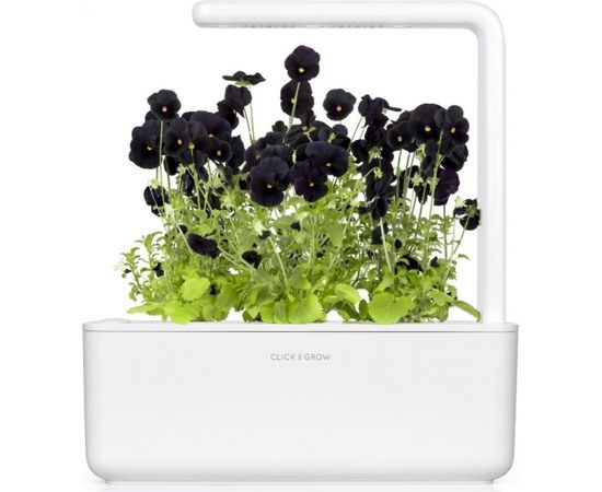 Click & Grow Smart Garden uzpilde Melnā atraitnīte 3gb.