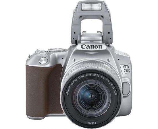 Canon EOS 250D + 18-55mm IS STM Kit, sudrabots