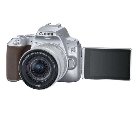 Canon EOS 250D + 18-55мм IS STM Kit, серебристый