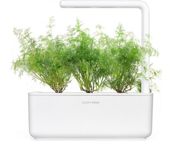 Click & Grow Smart Garden uzpilde Dilles 3gb.