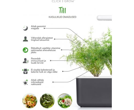 Click & Grow Smart Garden uzpilde Dilles 3gb.