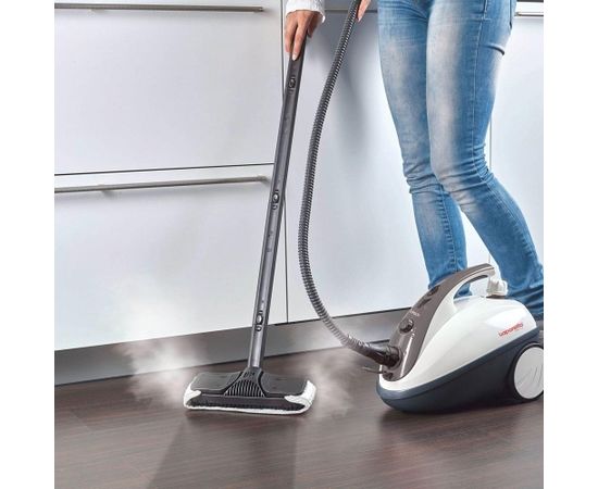 Polti Vaporetto Smart 30_S Steam cleaner  PTEU0267 Corded, 1800 W,