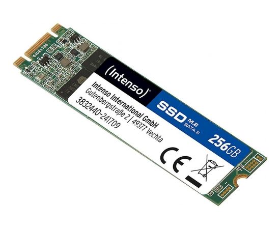 Intenso SSD M.2 Top 256GB 3832440