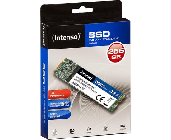 Intenso SSD M.2 Top 256GB 3832440