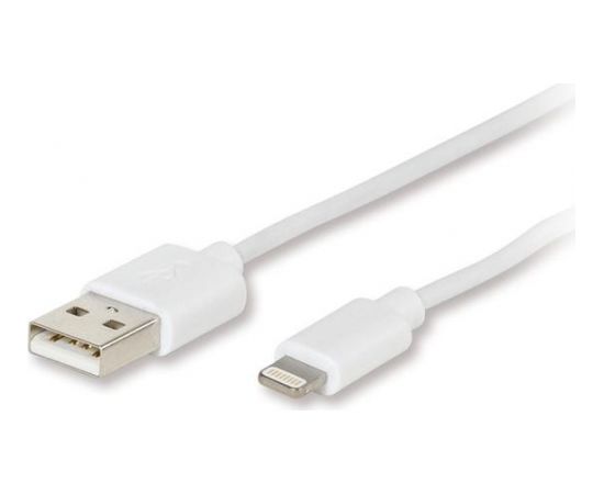 Vivanco charger Lightning 2.4A 1.2m, white (60018)