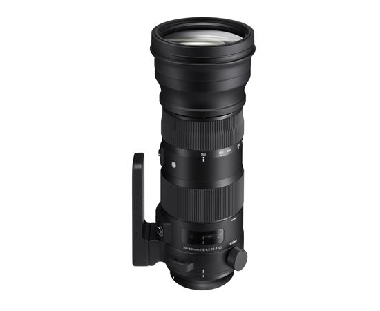 Sigma 150-600mm F5.0-6.3 DG OS HSM Canon [CONTEMPORARY]