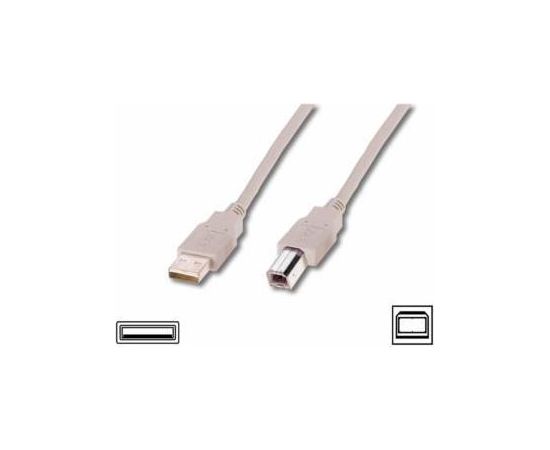 Assmann Cable USB2,0 A m / B m dl.1,8m - beige