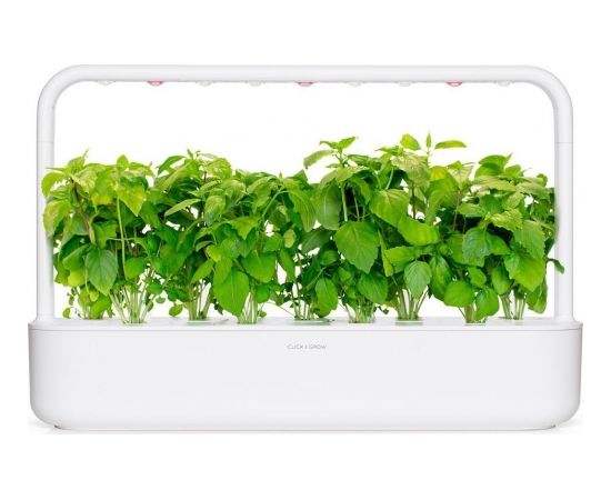 Click & Grow Smart Garden refill Cinnamon Basil 3pcs