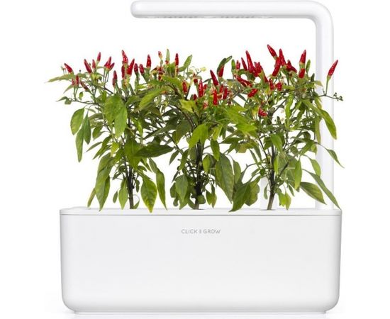 Click & Grow Smart Garden refill Piri Piri Chili Pepper 3pcs