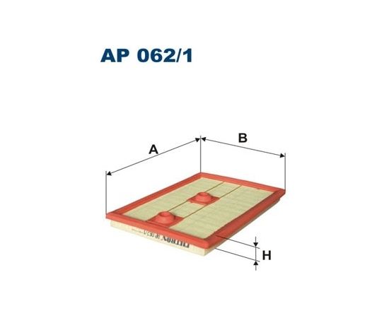 Filtron Gaisa filtrs AP062/1