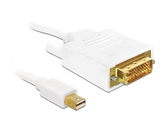 Delock Cable Displayport mini male > DVI 24pin male 2 m