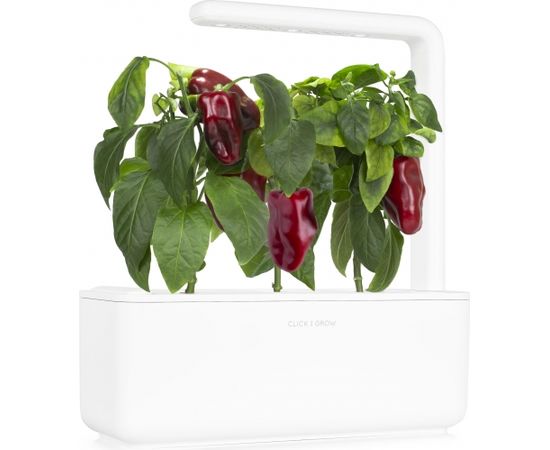 Click & Grow Smart Garden uzpilde Sarkanā paprika 3gb.