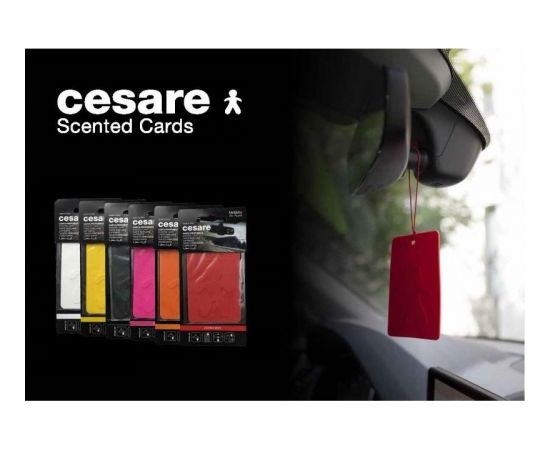 Mr&Mrs Cesare Scented card JCESTES005 Scent for Car, Energy: Fruit, EVA, Orange