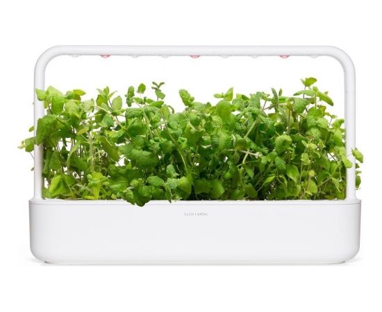 Click & Grow Smart Garden refill Apple Mint 3pcs