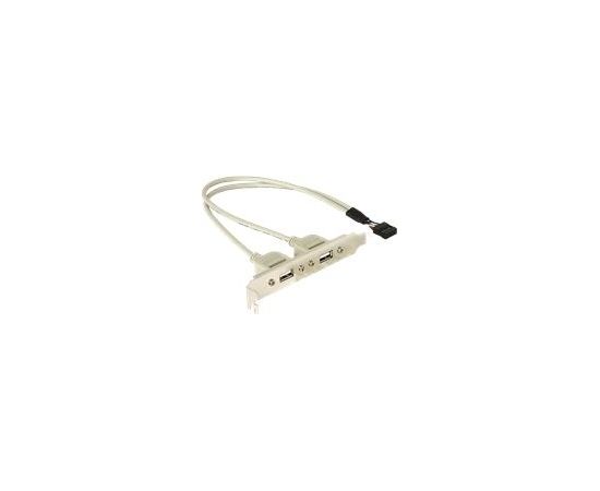 DELOCK Slotblech intUSB 5pin to2xUSB2ext