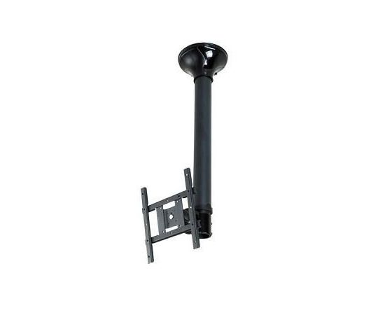 TV SET ACC CEILING MOUNT/10-40" FPMA-C200BLACK NEWSTAR