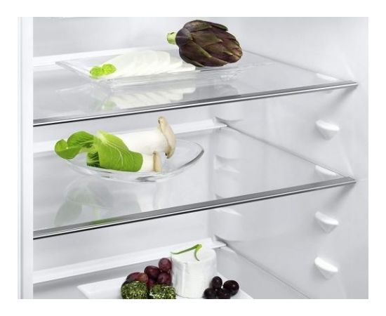 Electrolux LNT3LE31X1 ColdSense ledusskapis 175cm Pelēks Ledusskapji