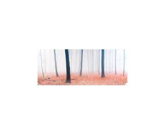 Fotoglezna WALD VOLL NEBEL 50x1125cm