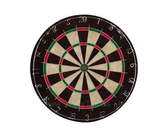 Bristle Dartboard