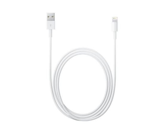 Apple Lightning to USB Cable (2 m)