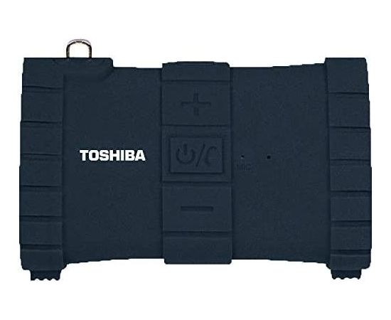 Toshiba Sonic Dive 2 TY-WSP100 black