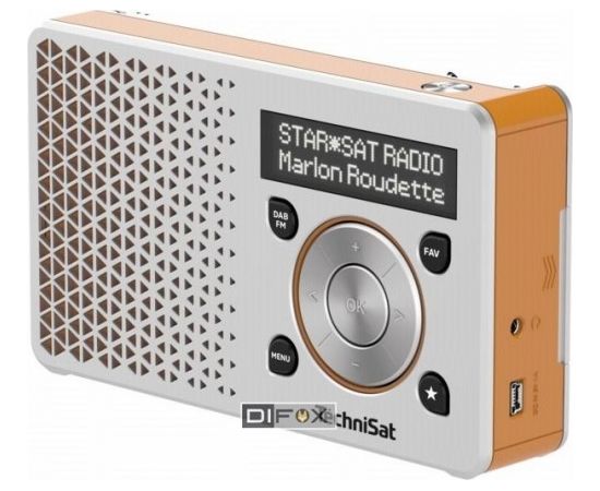 Technisat DigitRadio 1 silver/orange