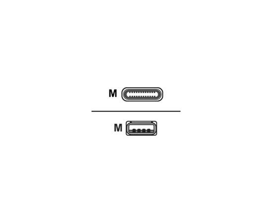 ASSMANN USB Type-C connection cable