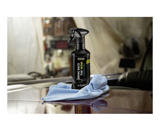 Karcher RM651 Auto virsmu tīrīšanas līdzeklis