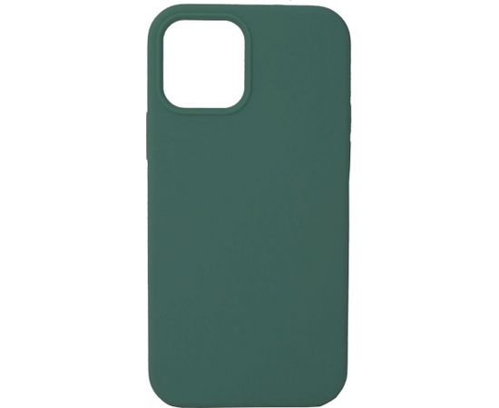 Evelatus Apple iPhone 12/12 Pro Soft Case with bottom Pine Green