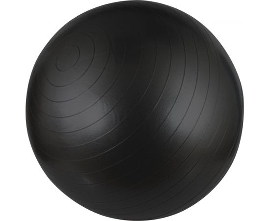 Schreuderssport Gym Ball AVENTO 42OA 55cm Black