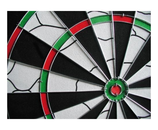 Garlando Darts target ORION DA-10