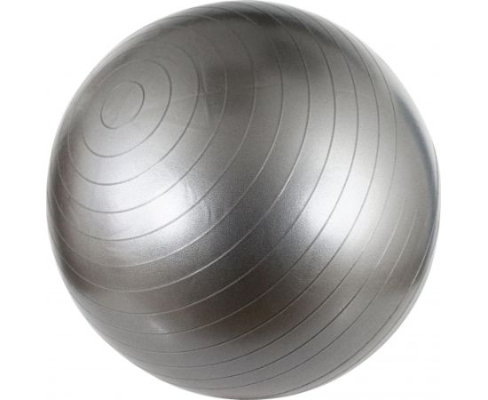 Schreuderssport Gym Ball AVENTO 42OA 55cm Silver