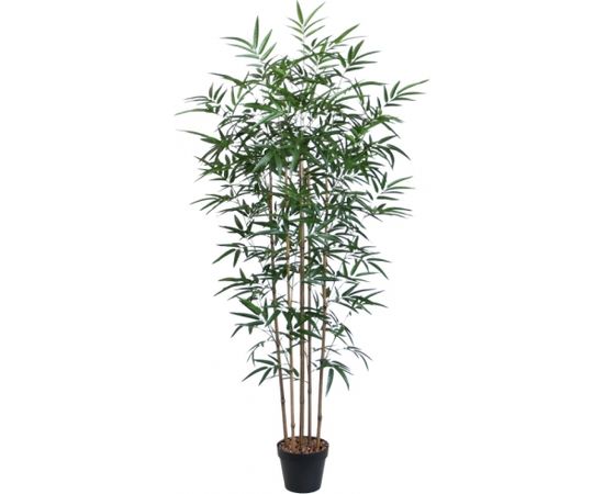 Mākslīgs koks BAMBOO H150cm, melns puķu s