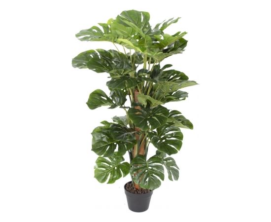 Зеленое растение МОNSTERA, H105см