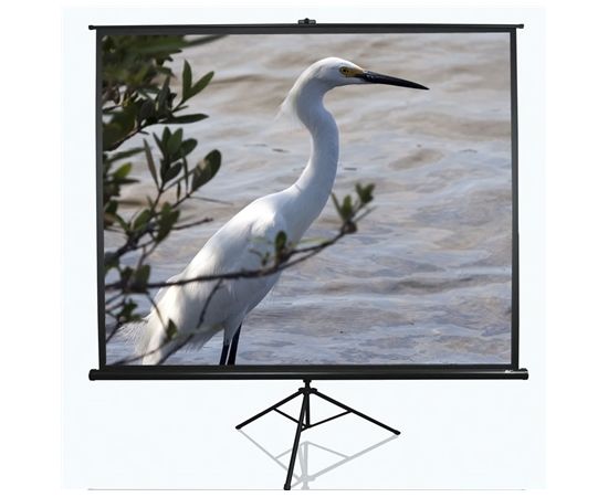 Elite Screens Tri  Series T100UWV1 Diagonal 100 ", 4:3, Viewable screen width (W) 203 cm, Black