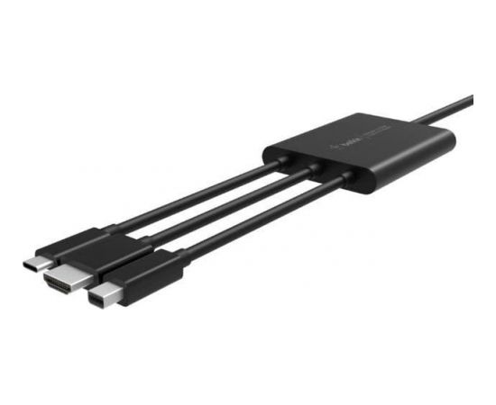 Adapteris Belkin Multi-Input Display USB C,HDMI, MDP -B2B169