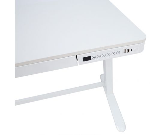 Desk ERGO adjustable with 1-motor, white