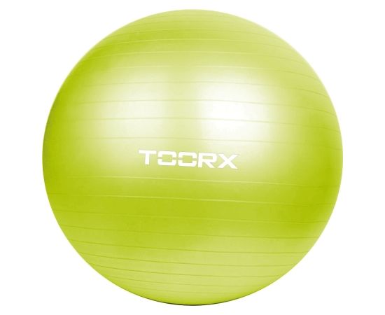 Toorx Гимнастический мяч AHF-012 D65cm su pompa