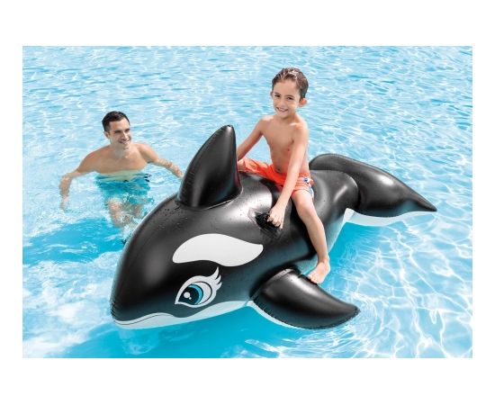 Intex Lil' Whale Ride On Swimming Board Black/White