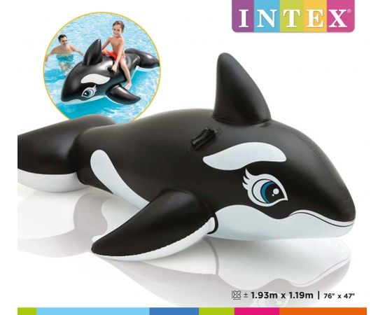 Intex Lil' Whale Ride On Swimming Board Black/White