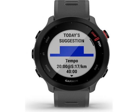 Garmin Forerunner 55 GPS, monterra grey